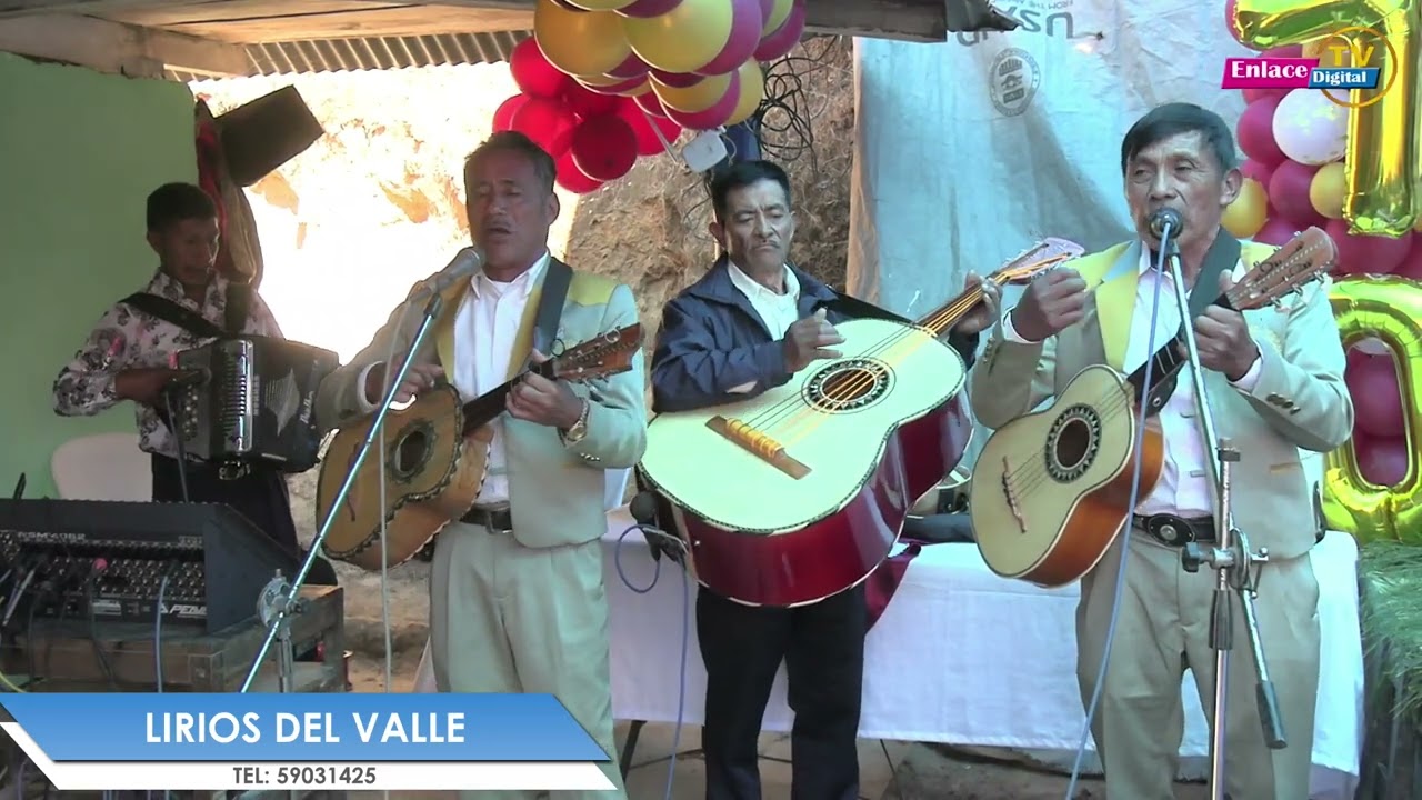 LIRIOS DEL VALLE TACANA.
