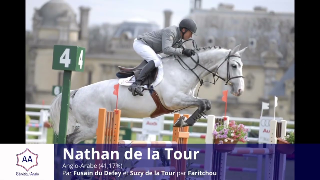 Nathan de la Tour