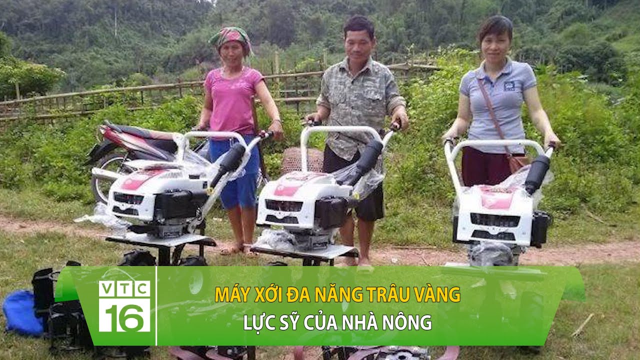 Máy xới đa năng Trâu Vàng: Lực sỹ của nhà nông | VTC16