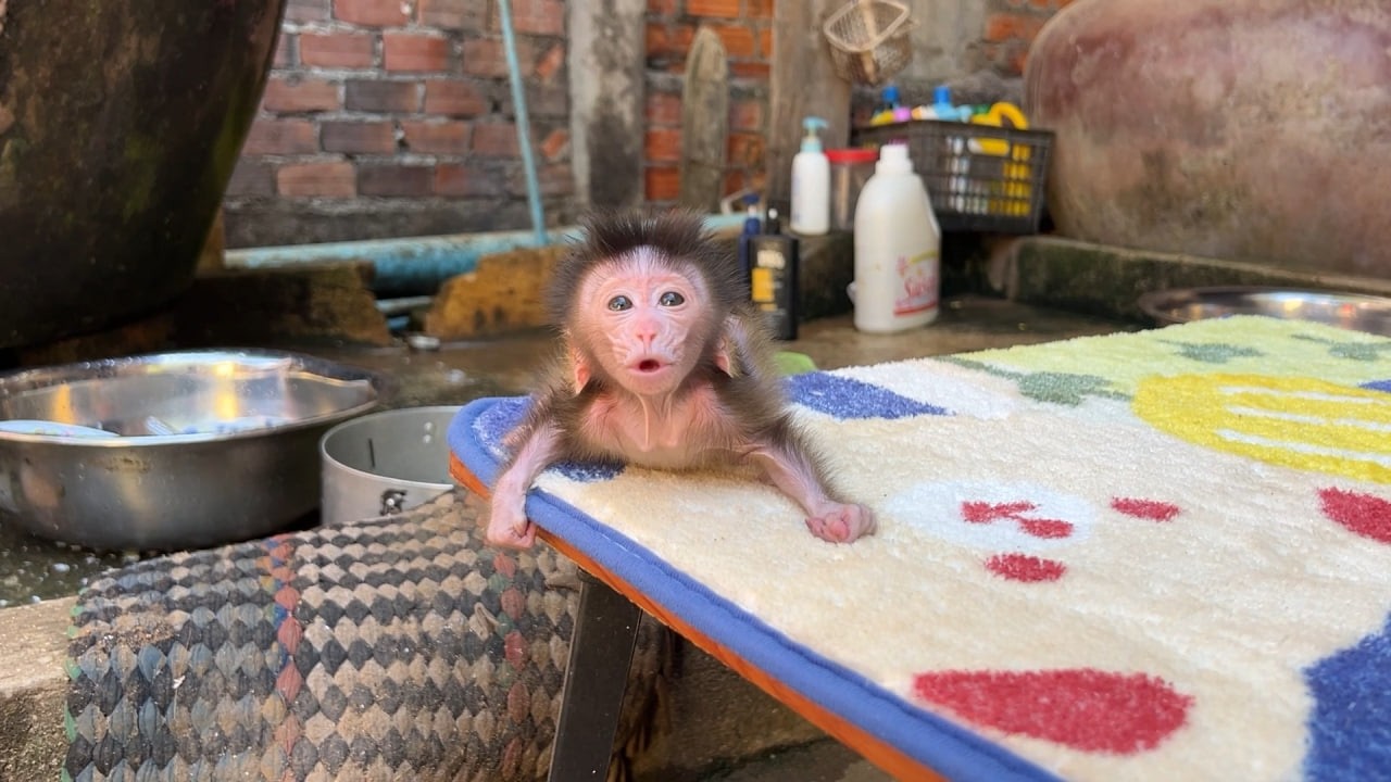 OHHH NOOOO Sweet Baby Monee Drop-Tear C-r-y Want Mom Attention