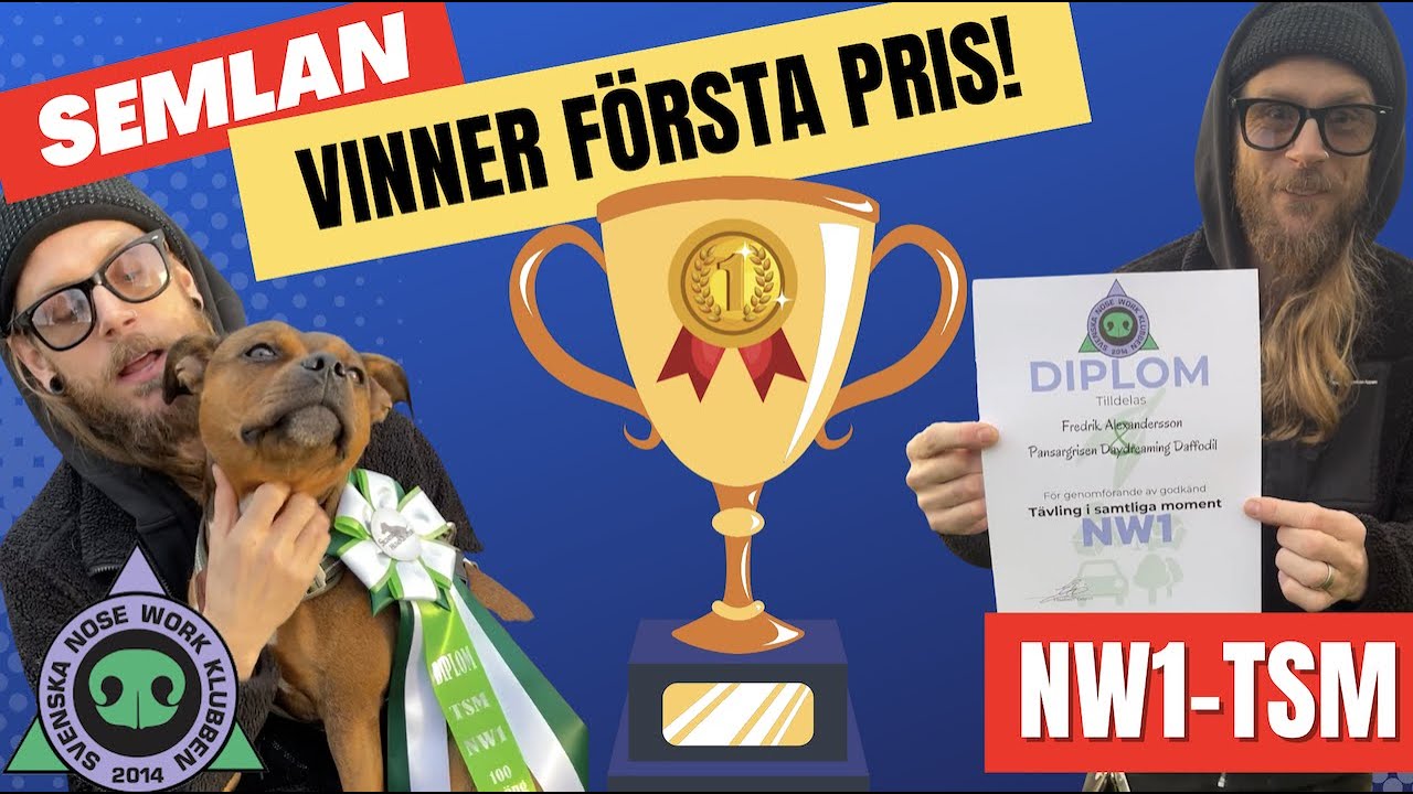 WOW! Vi tävlar i Nosework TSM och vinner första pris!!