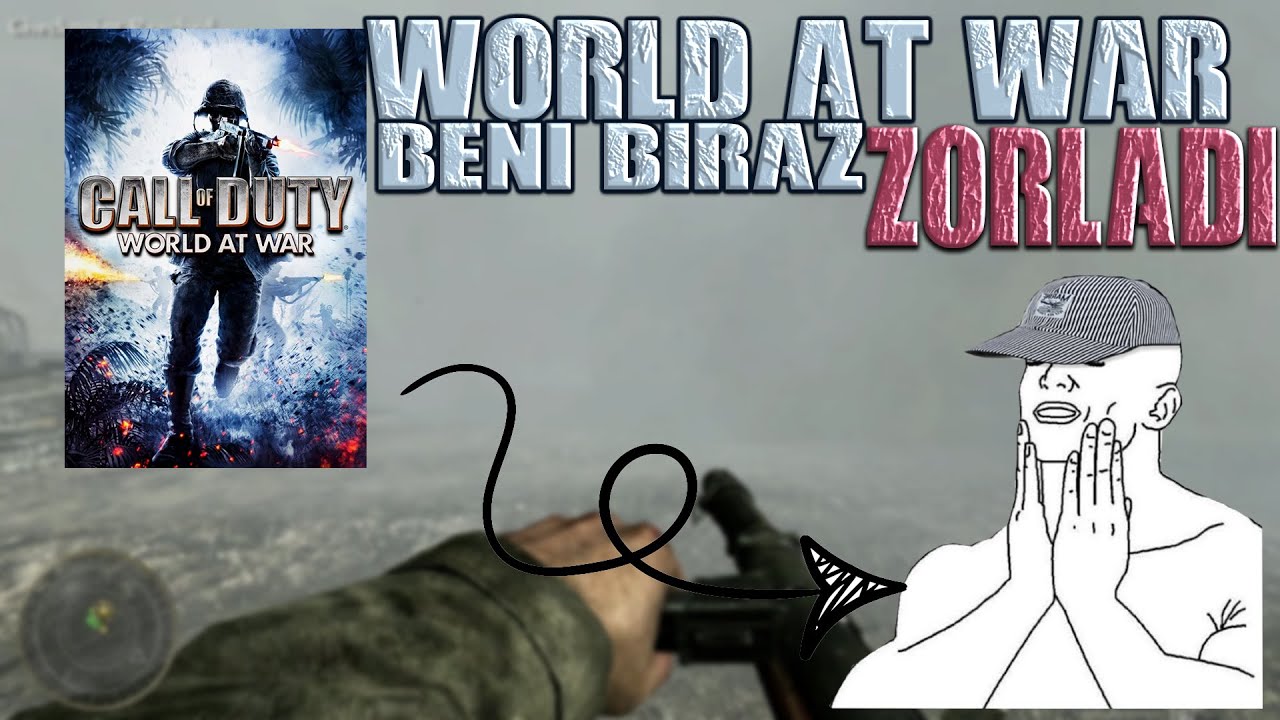 World at War Beni Biraz Zorladı