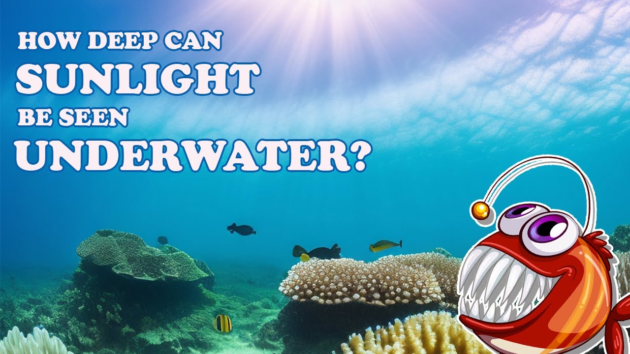 How deep can sunlight be seen underwater?