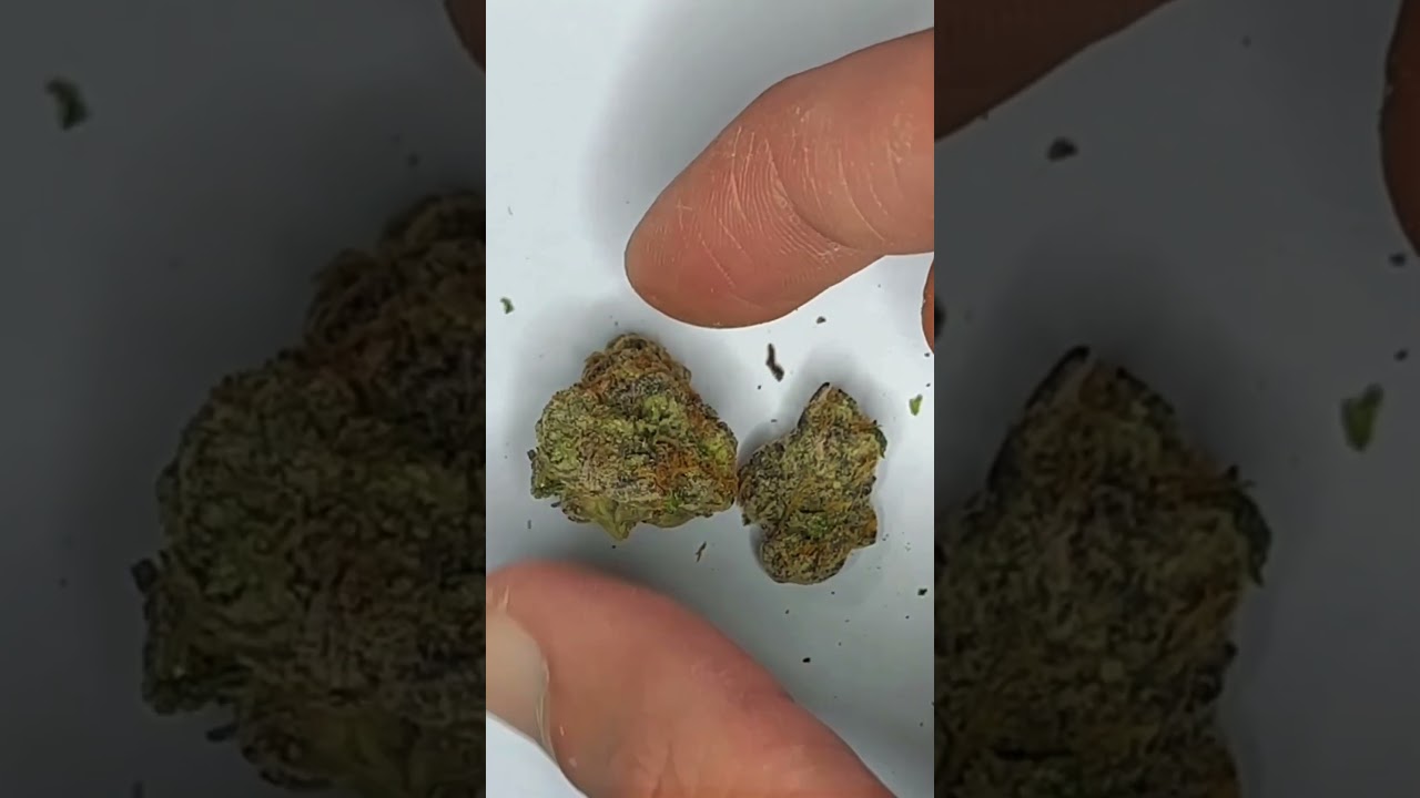 C-Note Killers by Cookies Research and Development Micro Batch #cnotekillers #cookies #strainreview