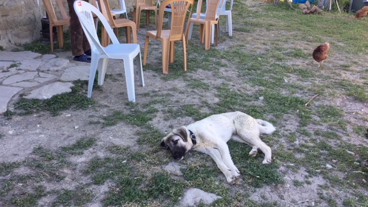 Sivas İmranlı kapııkaya