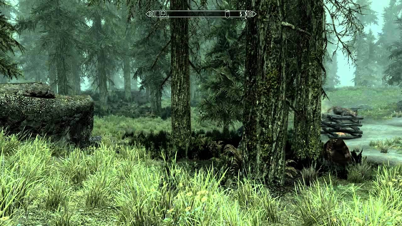 TES V: Skyrim Серия #7 [Gentle Hint]