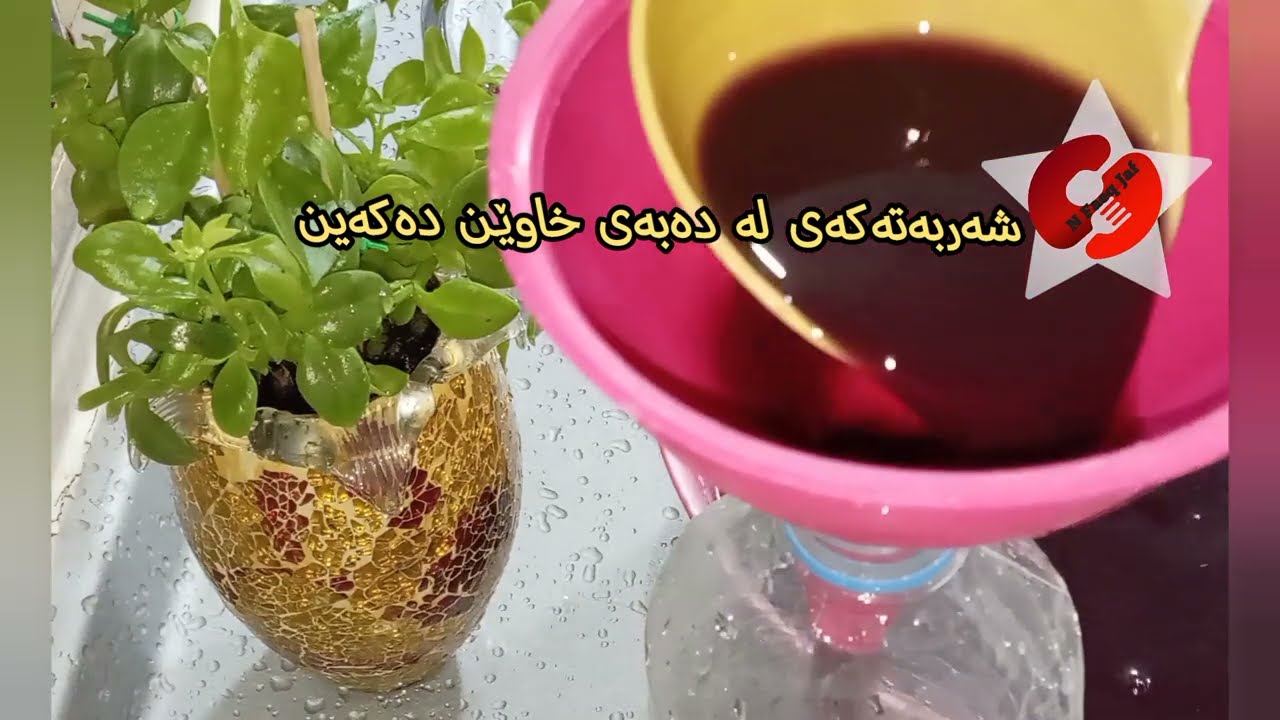 شەربەتی سافی مێوژ زۆر تایبەتە