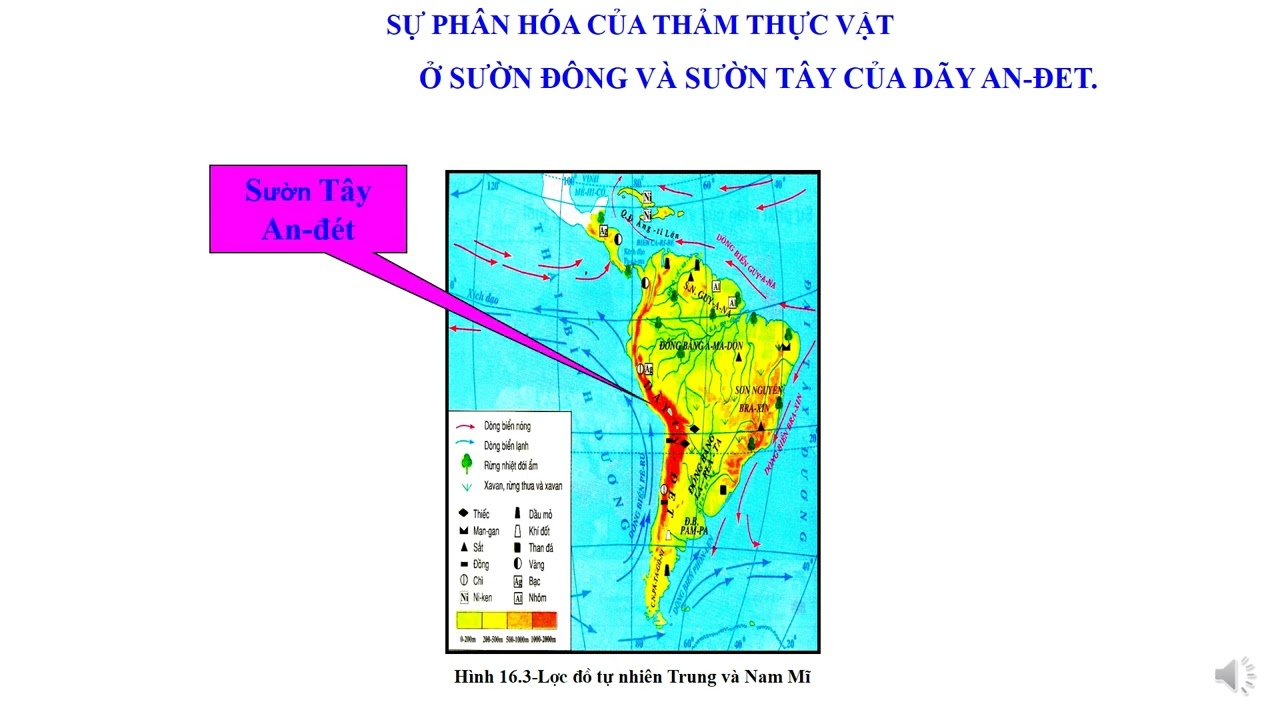 ĐỊA LÝ LỚP 7; BÀI 16:  THIÊN NHIÊN TRUNG VÀ NAM MỸ