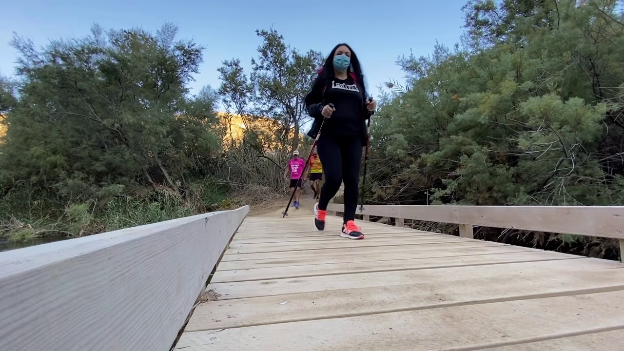 RUTA POR EL PANTANO DE ELCHE