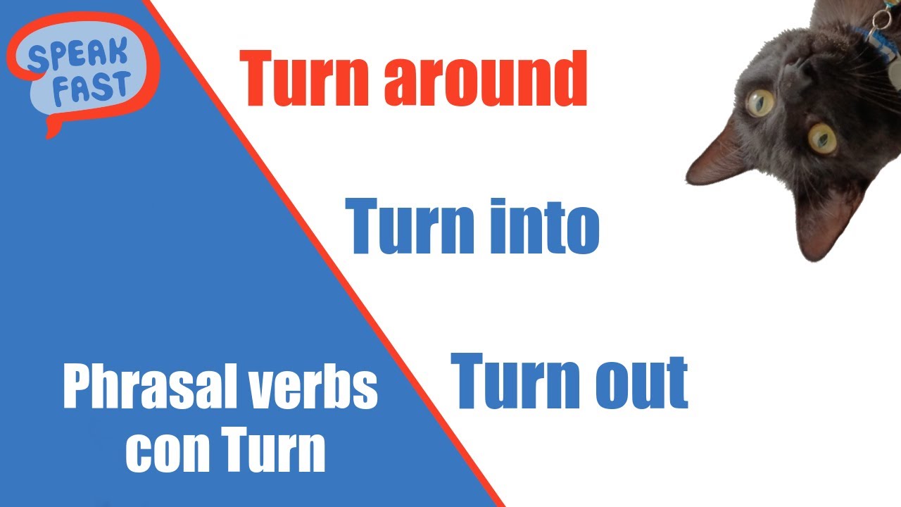 Turn on, Turn out, Turn into, Turn around