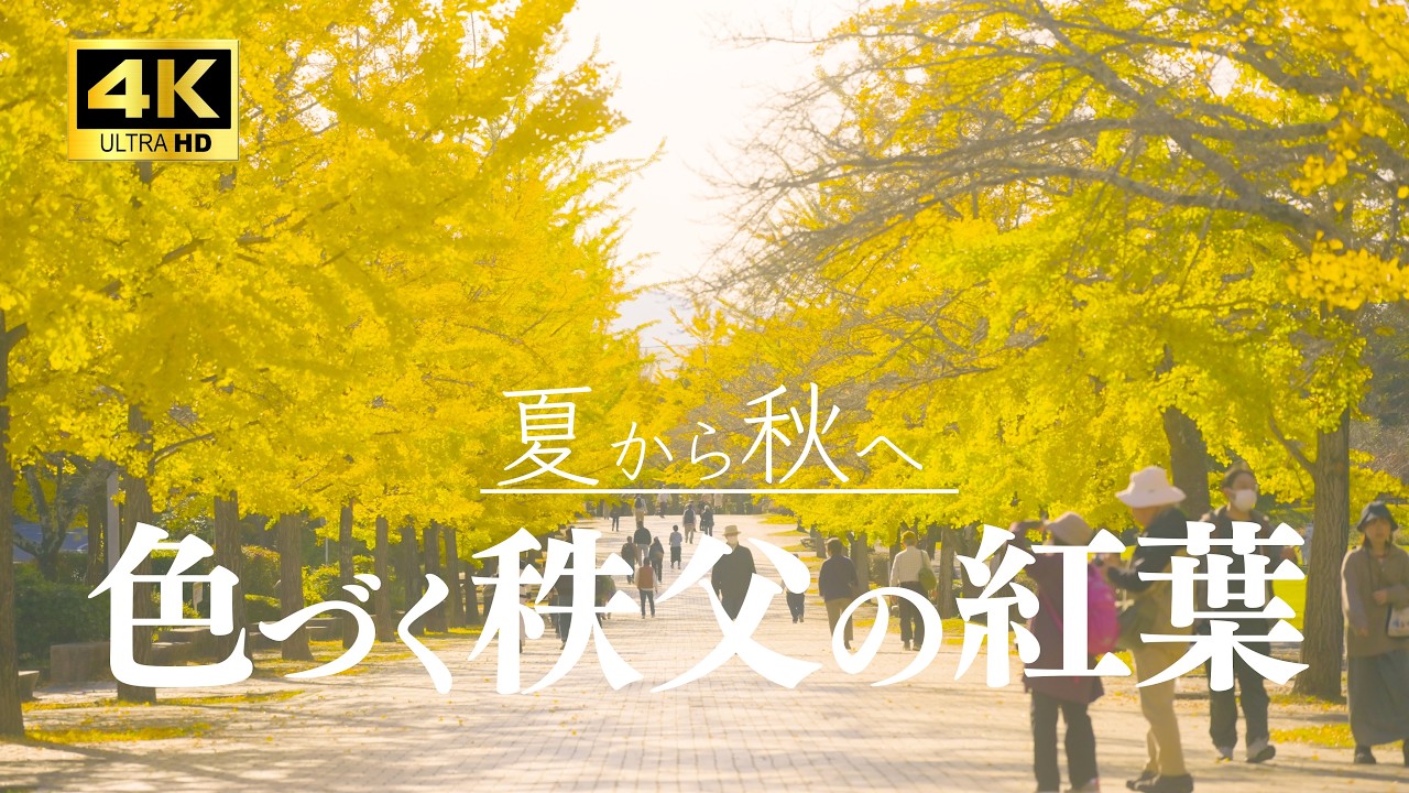【4K】夏から秋に色づく秩父の紅葉  — Chichibu: Colors Between Summer and Autumn