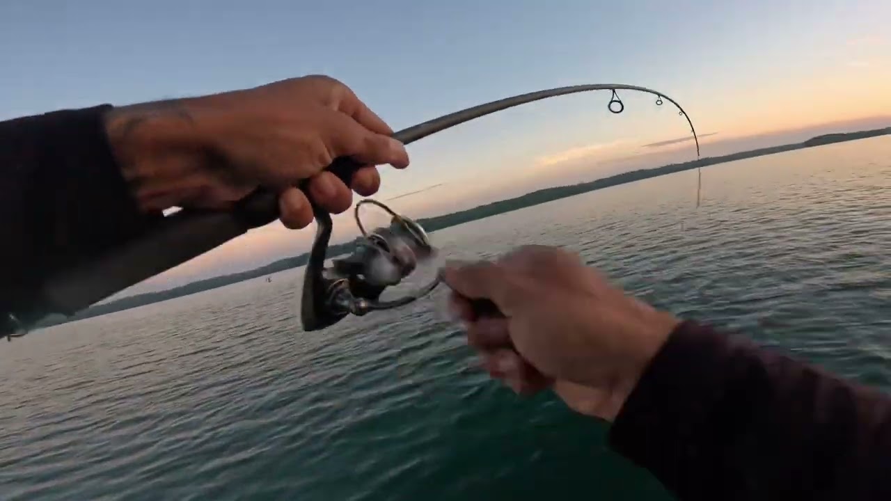 Lake Lanier Spotted Bass 