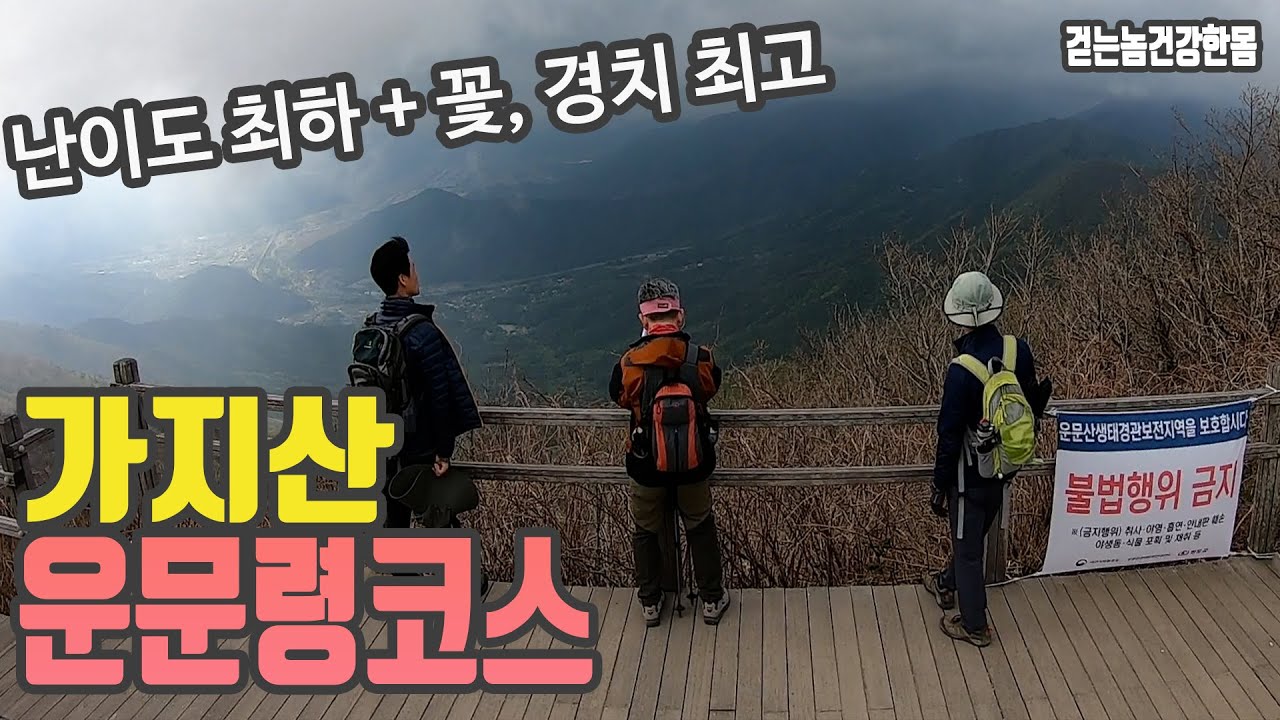 영남알프스 가지산 운문령 코스, 쌀바위, 전망대,임도 제일 쉬운 코스 - 걷는놈 건강한몸