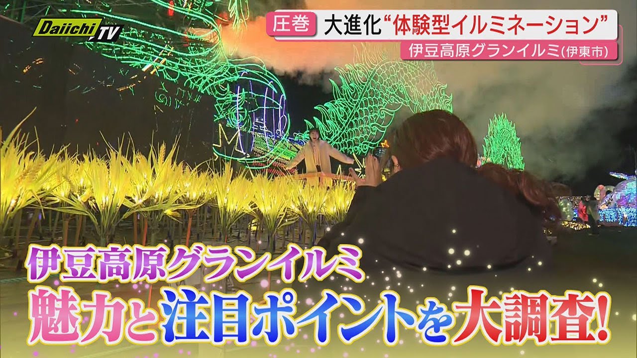 【体験型イルミ】“優れた技術や演出”表彰で全国1位｢伊豆高原グランイルミ｣が進化…その魅力に迫る(静岡･伊東市)