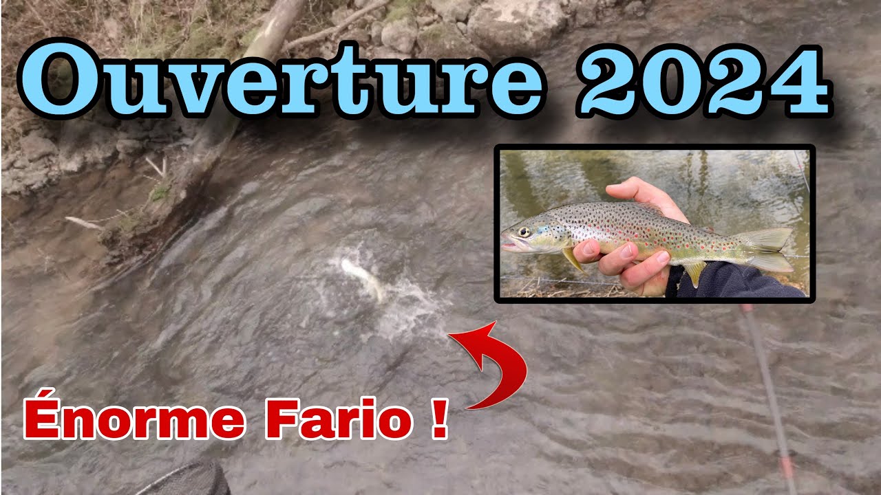 Les Truites Sauvages sont au rendez-vous ! Grosse Truite Surprise, Ouverture 2024, Pêche aux Leurres
