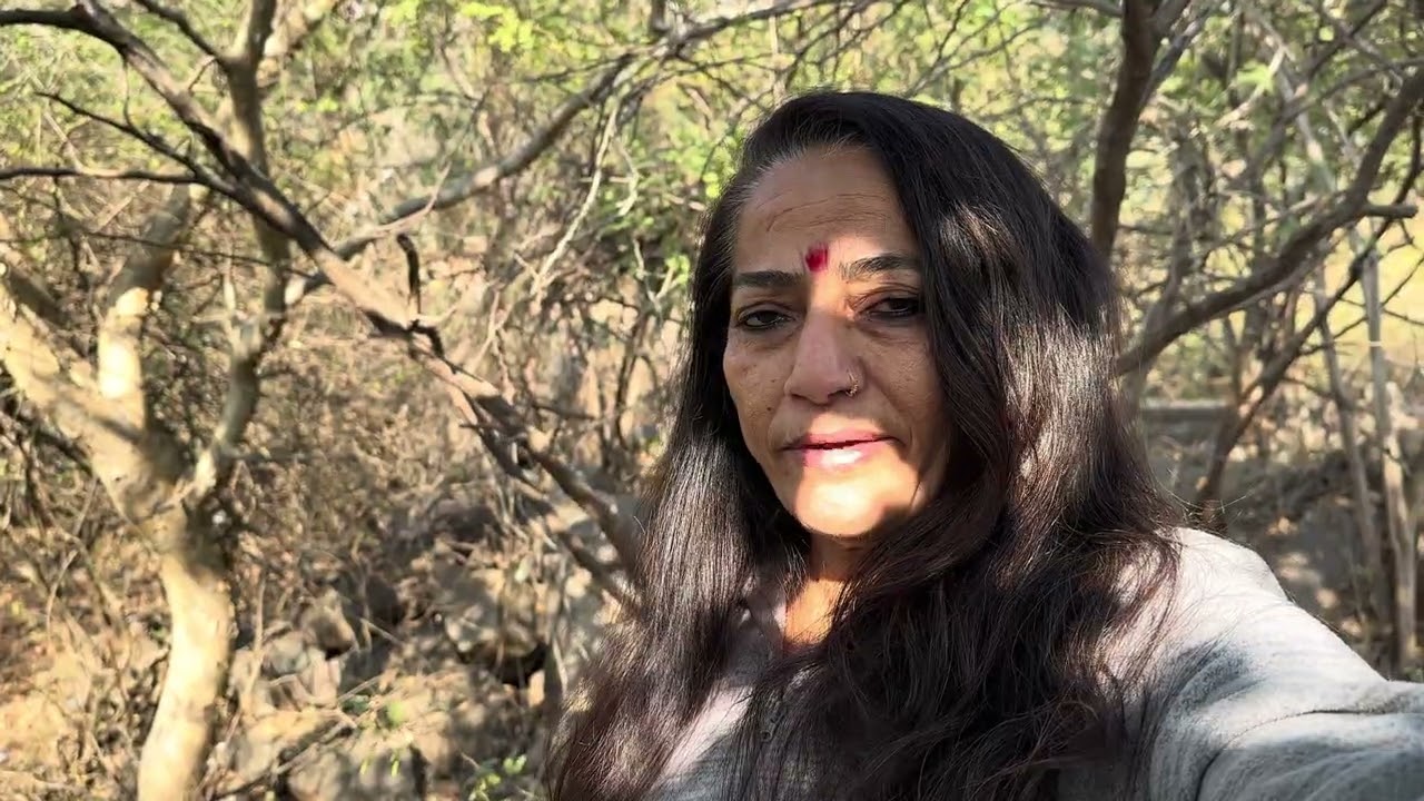 આછે બરડો 