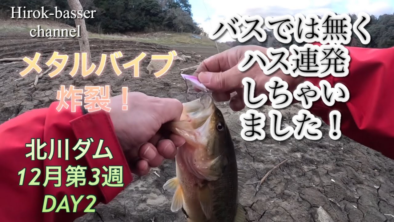 メタルバイブ炸裂！バスでは無くハス連発しちゃいました！