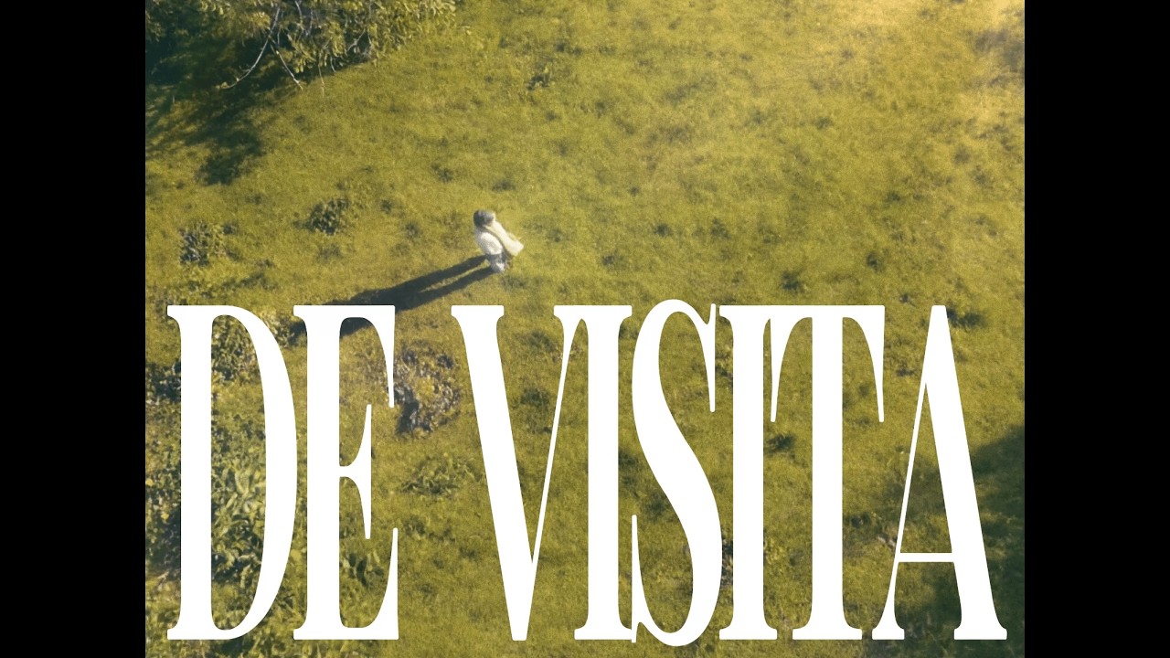 Bingo B - de visita