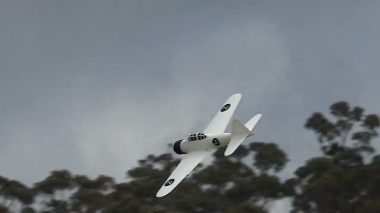 3D printed Zero - Maiden Flight