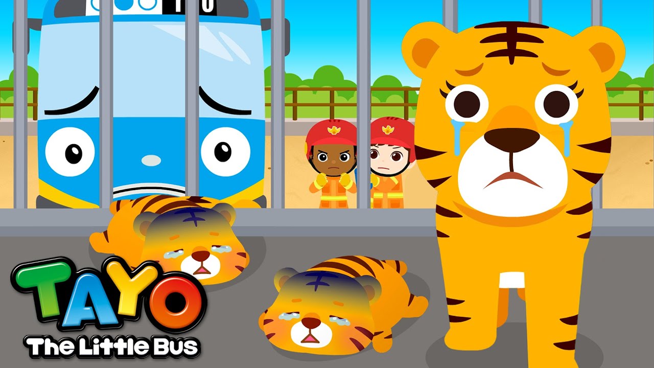 Protect the Baby Tigers! | Save the Animals | Tayo Animal Rescue Team | Tayo the Little Bus