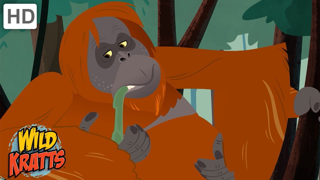 Amazing Adaptations Part 4 | How Animals Survive in the Wild | Wild Kratts