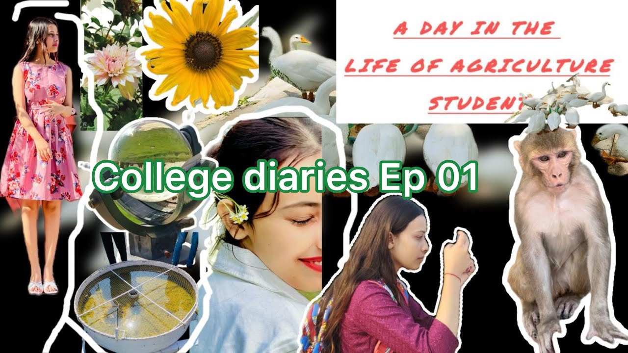 College diaries | EP. 01 | A day in the life of agriculture student at ANDUAT