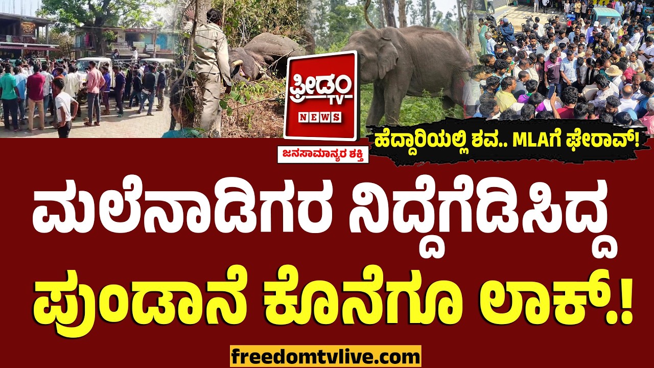 ಮಲೆನಾಡಿಗರ ನಿದ್ದೆಗೆಡಿಸಿದ್ದ ಪುಂಡಾನೆ ಲಾಕ್.. ಹೆದ್ದಾರಿಯಲ್ಲಿ ಶವ.. MLAಗೆ ಘೇರಾವ್‌.! | Chikkamagalur Elephant