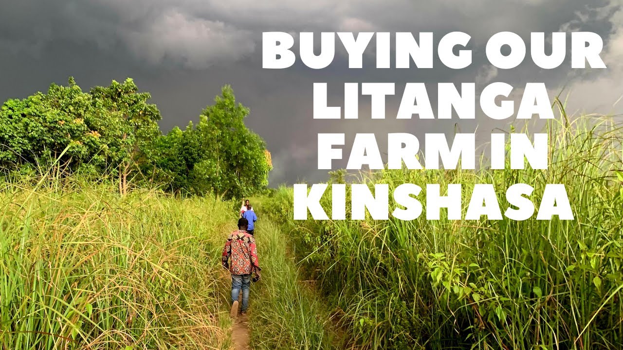 Building Litanga Farm in DRC Congo.