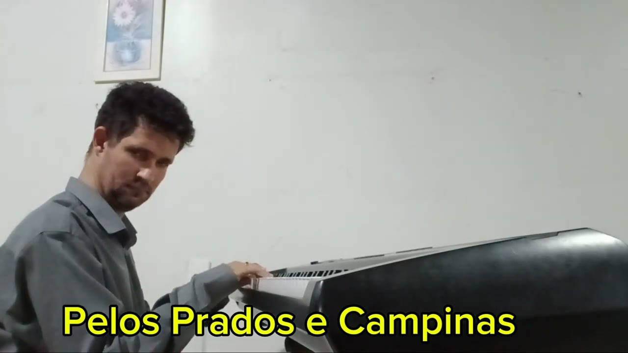 Pelos Prados e Canpinas 