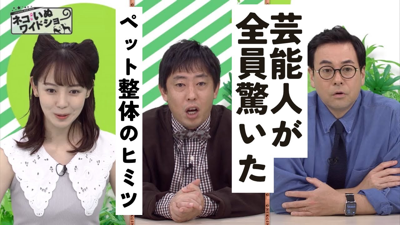 【テレビ出演】芸能人全員が驚愕！ペット整体®️で驚きの施術結果。ペット整体の魅力