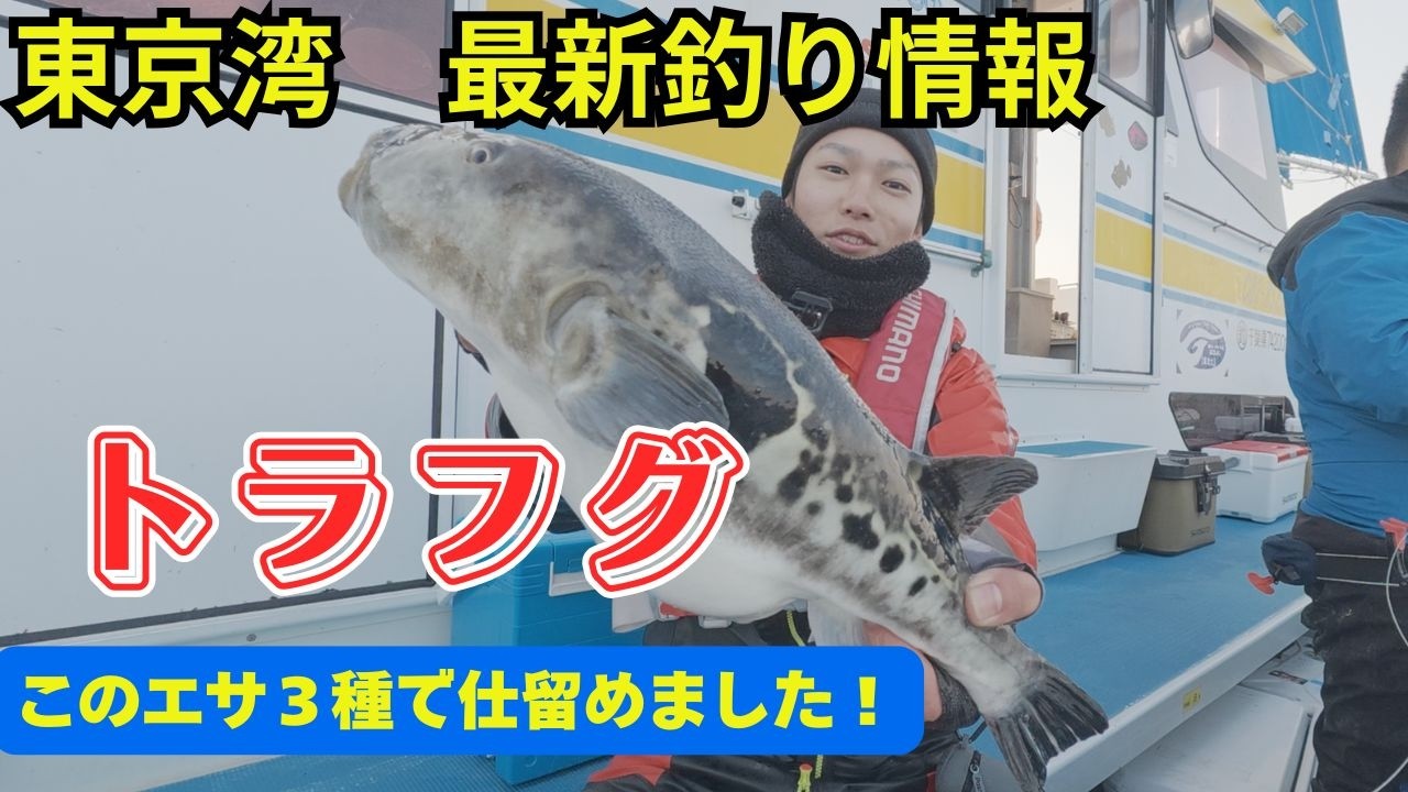 【トラフグ】この３種のエサで決まりでしょ！悶絶トラフグがヤバすぎた！