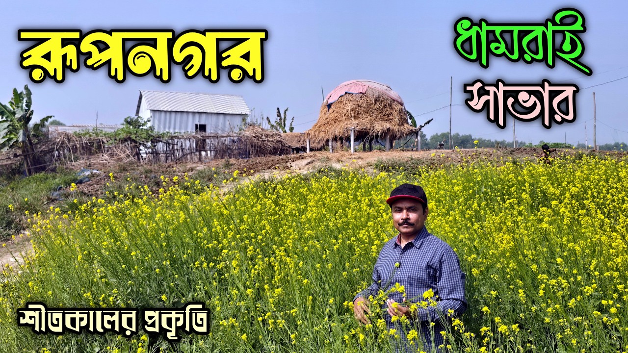 রূপনগর (শীতকালের প্রকৃতি) ধামরাই সাভার ঢাকা | Rupnagar (Nature of Winter) Dhamrai Savar Dhaka