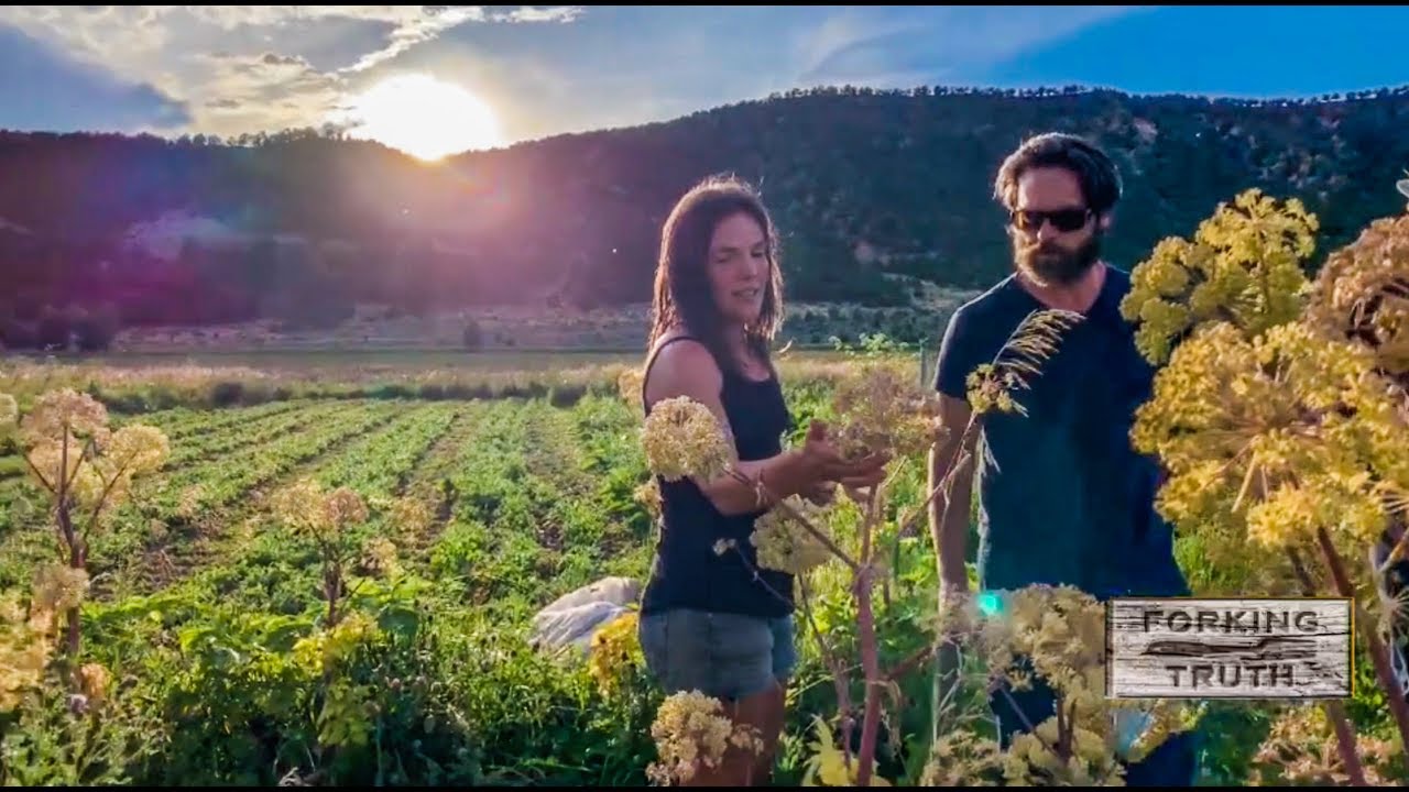 Sustainability & Farm to Table Show | BITE SIZE - Growing Medicinal  Herbs  with Biodynamics