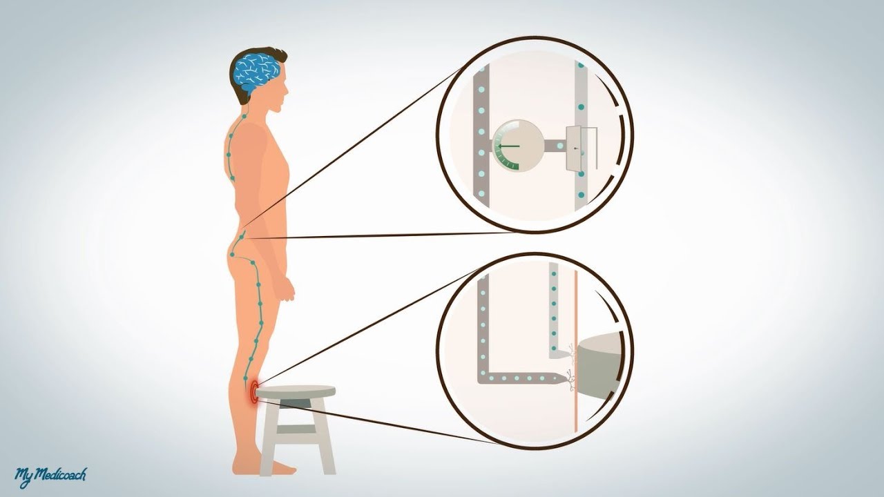 Neuropatische en disfunctionele pijn.
