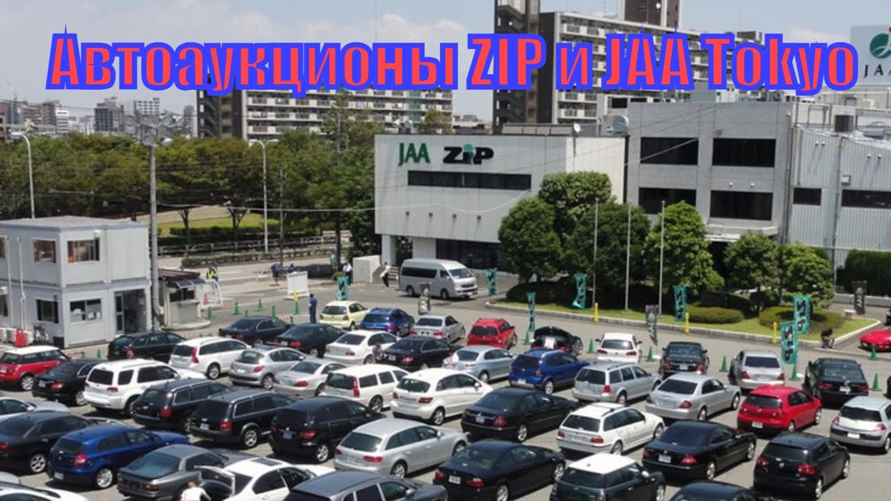 Автоаукционы ZIP и JAA USS Tokyo Взгляд изнутри / Процесс покупки авто на аукционе в Японии