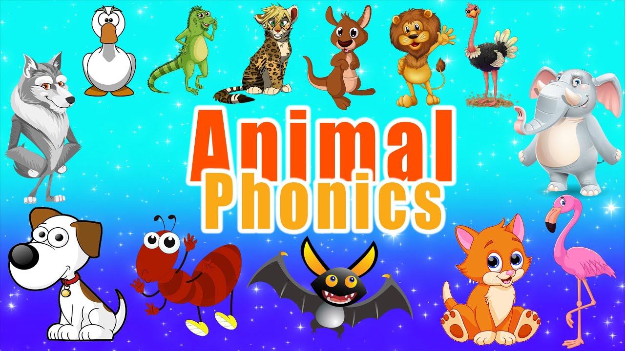 Animal Phonics Song | Nursery Rhymes for Toddlers | LittleKidsTV