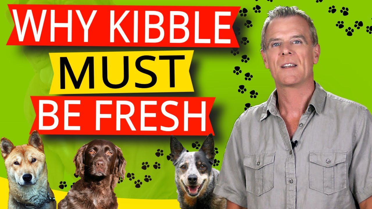 How Long Does Dry Dog Food Last (5 Ways to Keep Dry Dog Food Fresh)