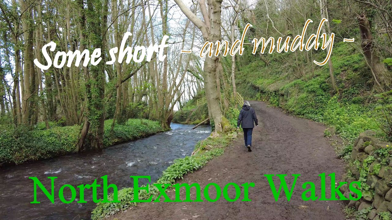 Some short north Exmoor walks