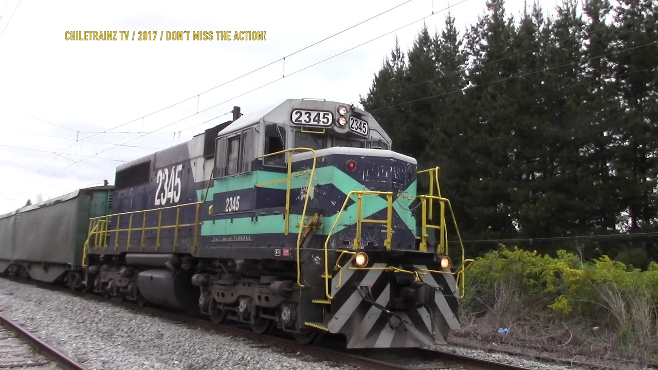 Mix de trenes entre Quilacoya y Talcamavida