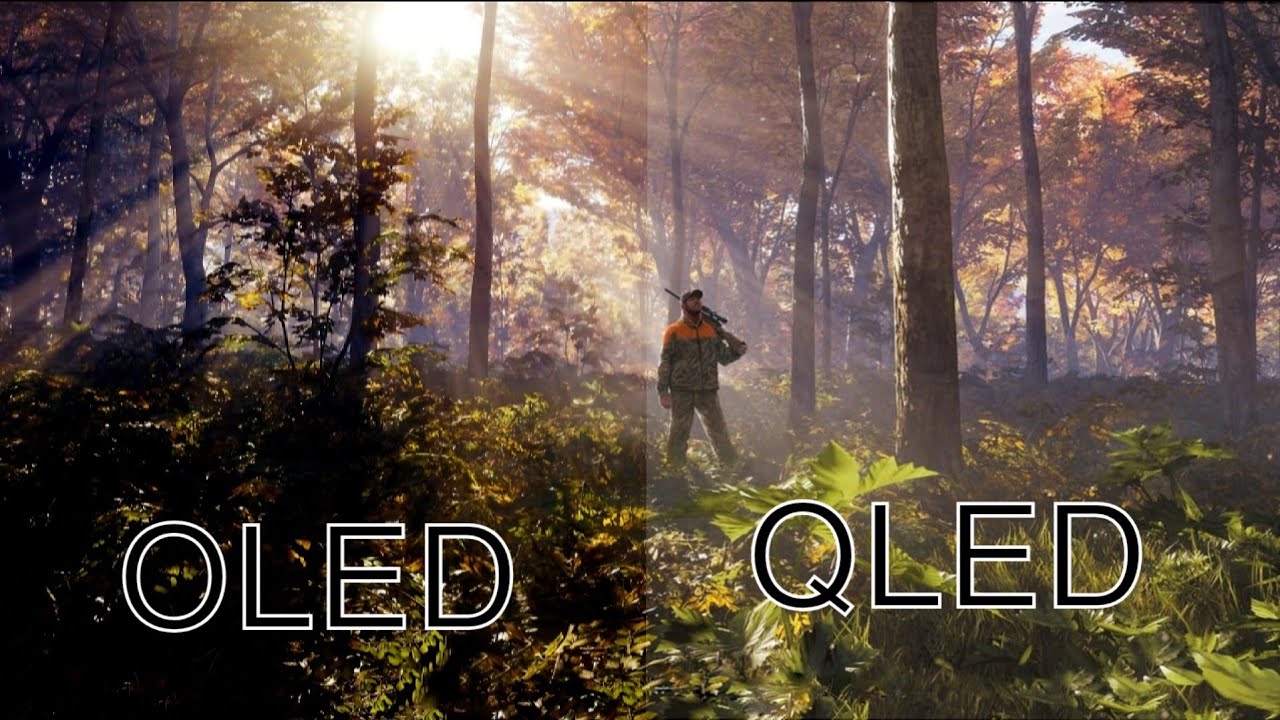 OLED VS QLED 4K 120 HZ