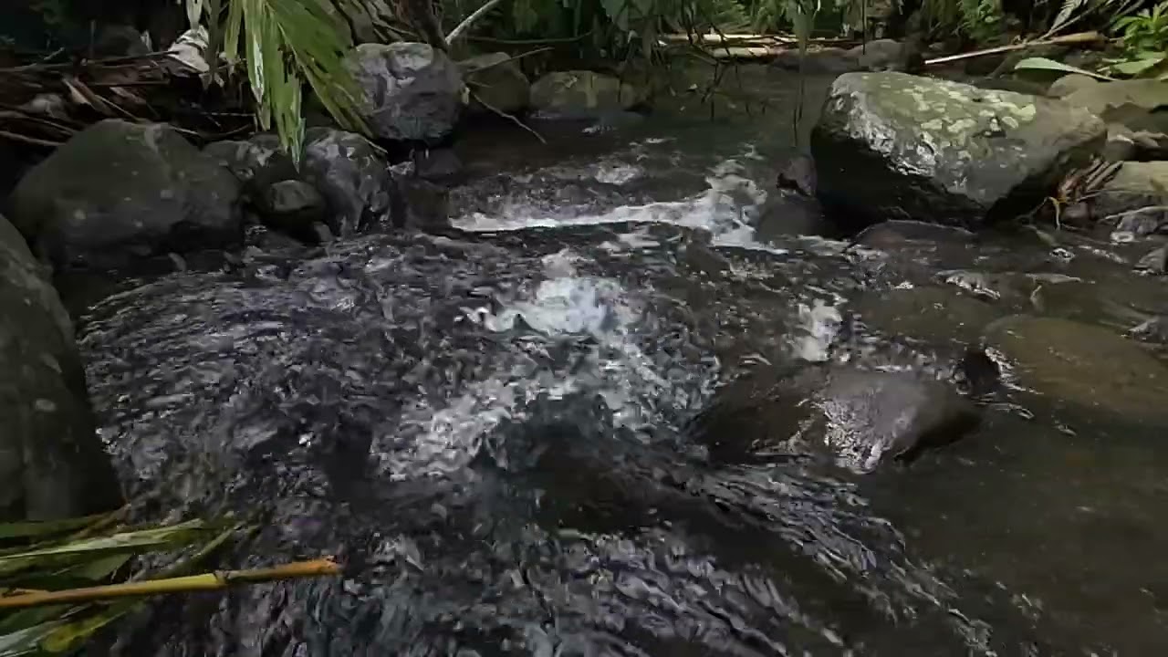 2 Hours of Gentle River Flow 🌿 Calm Natural Water Sounds for TV, Sleep & Relaxation