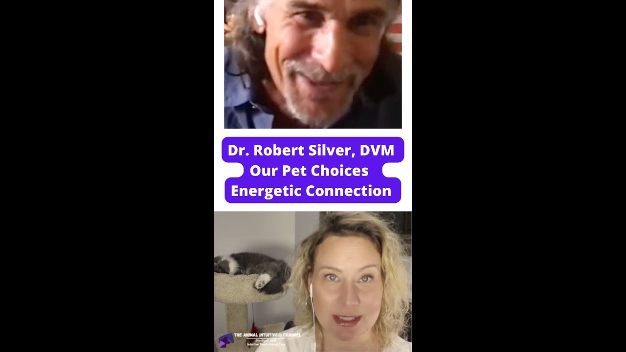 Holistic Vet & Animal Communicator - Soul Connection With Our Pets