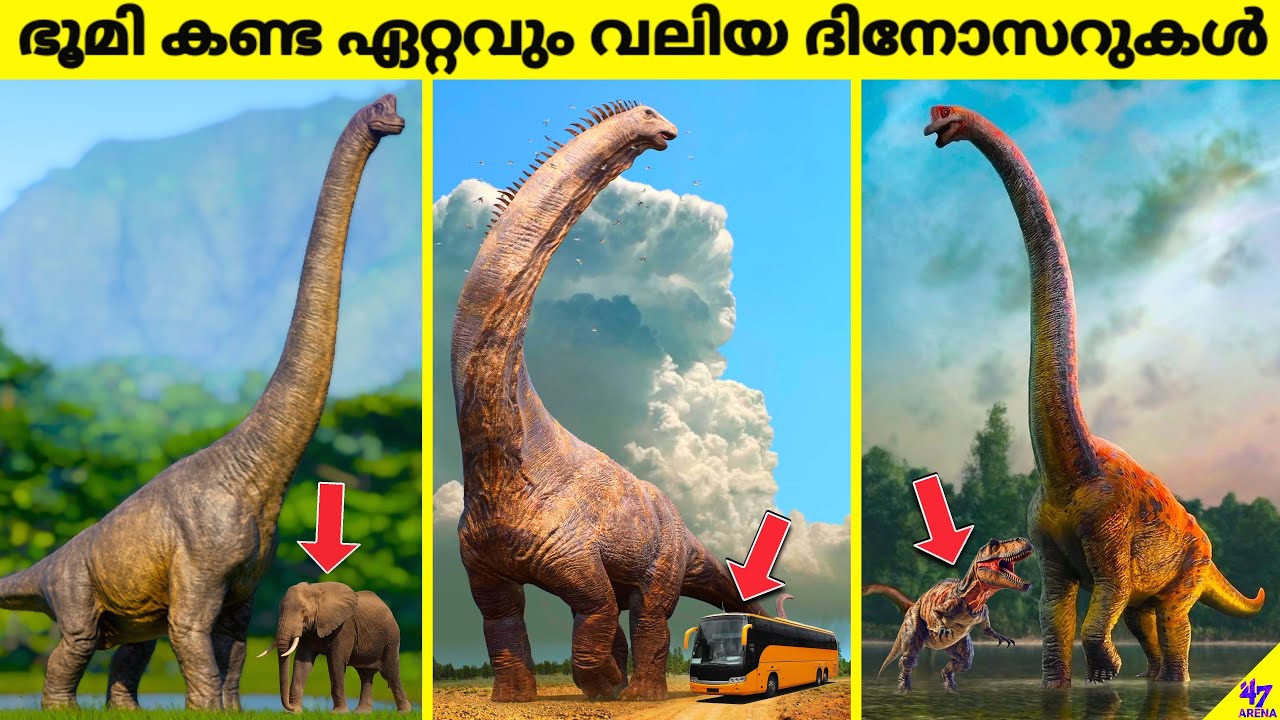 Biggest Dinosaurs Ever Lived On Earth | Facts Malayalam | 47 ARENA