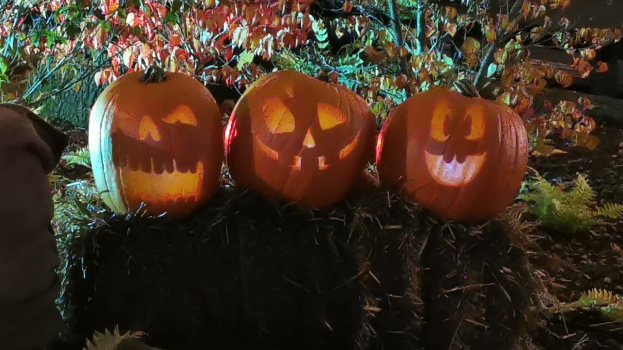 Halloween Kürbisse im Holiday Park Haßloch