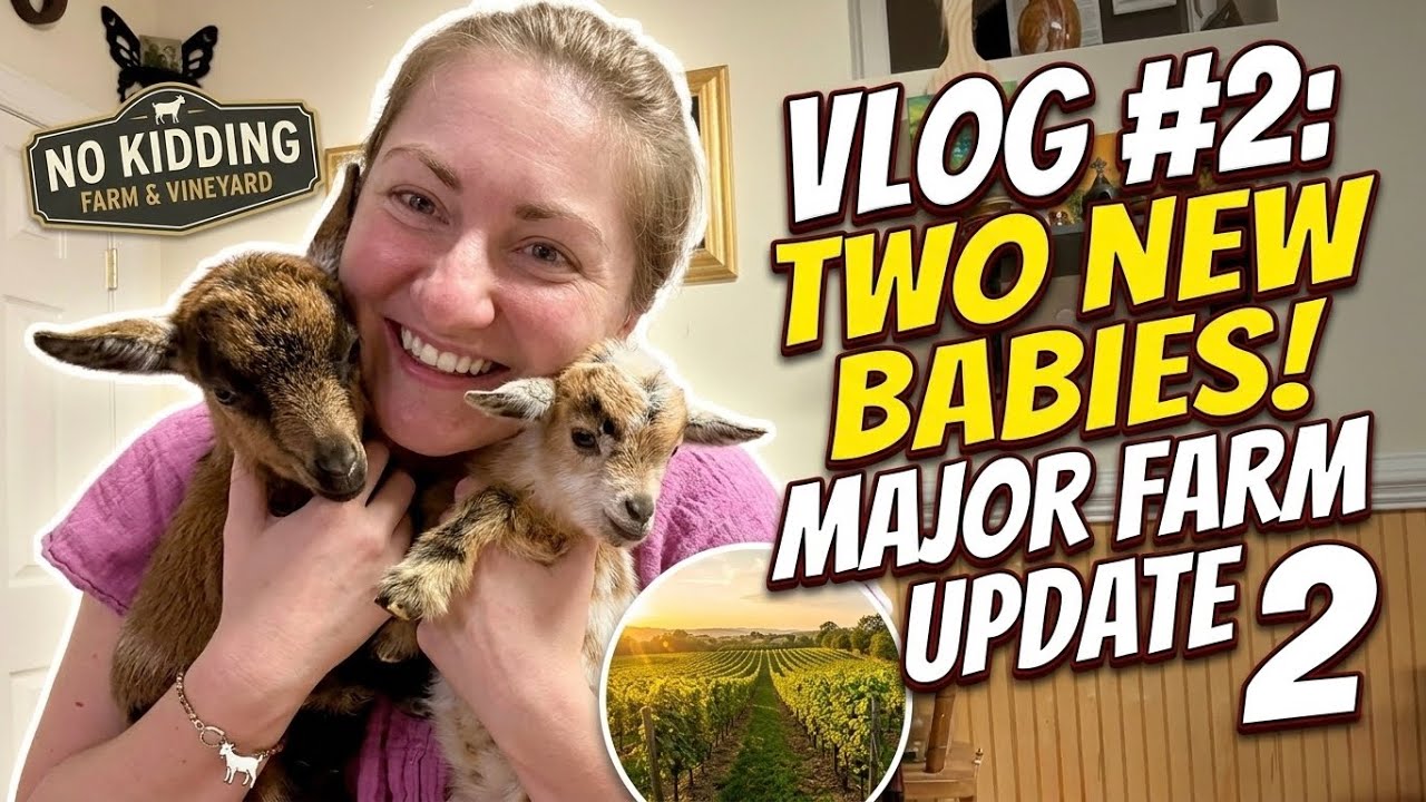 Meet the Kids! Introducing Our Newest Goats | No Kidding Farm Vlog #2 