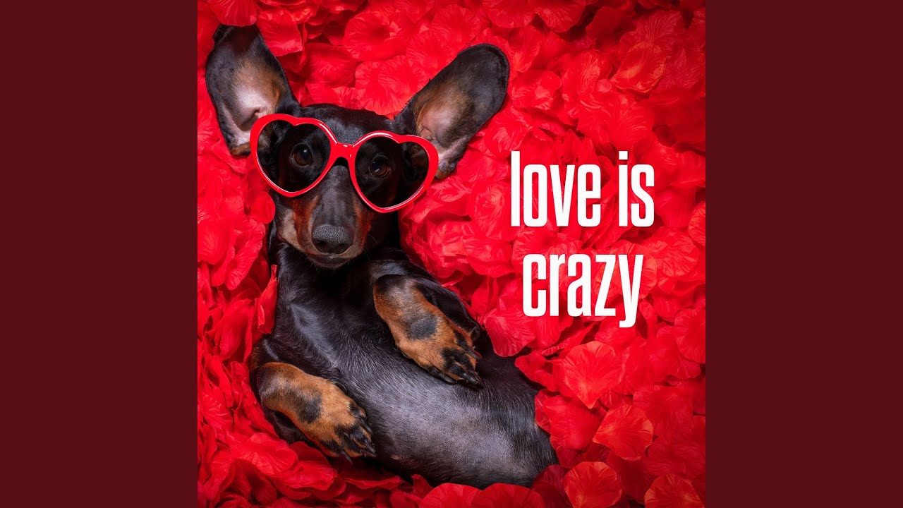 My Kind Of Crazy