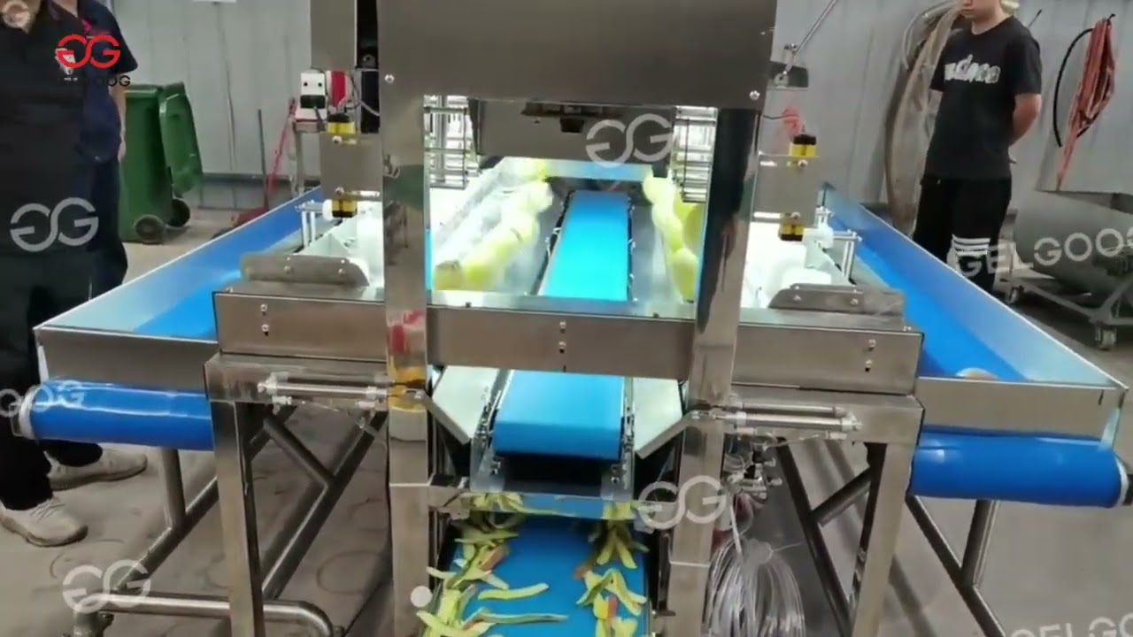 Transform Your Mango Processing with Our Automatic Mango Peeling Machine