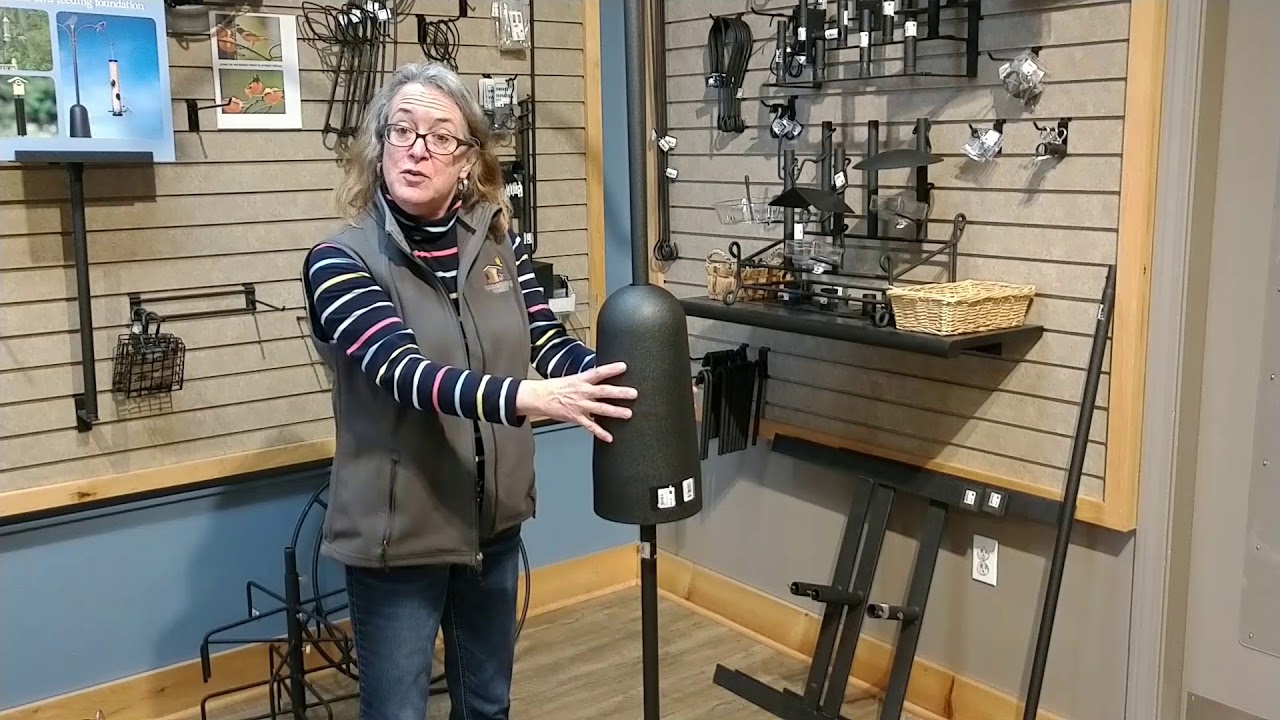 Bird Feeders And Bird Food To Attract Birds