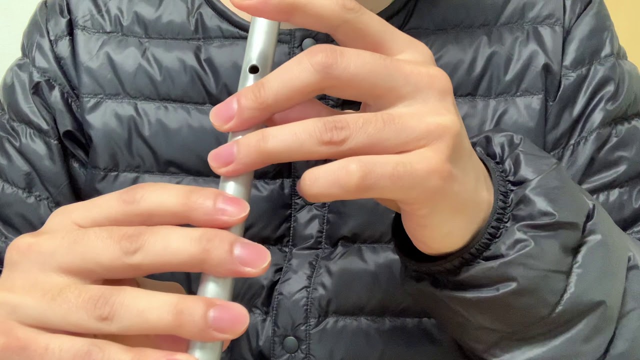 【ティンホイッスル】ゆるキャン△本栖湖のテーマを吹いてみた。