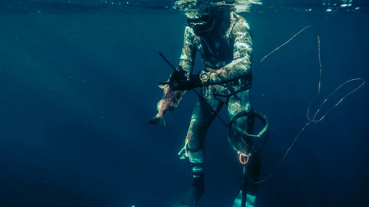 Spearfishing Off The Boat In Cape Town, South Africa (Catch & Cook)